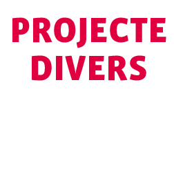 divers divers